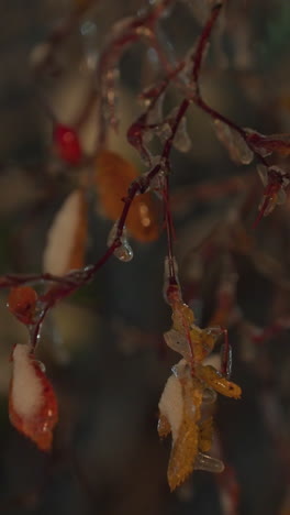 cerca de ramas de árboles heladas adornadas con cristales de hielo y nieve, iluminadas por una suave luz reluciente en el fondo, creando una escena de invierno mágica y atmosférica con colores vibrantes y naturales