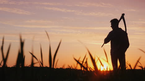 Ein-Junger-Bauer-Mit-Einer-Sense,-Der-Bei-Sonnenuntergang-Auf-Einem-Feld-Steht-Silhouette-Rückansicht-4k-Video