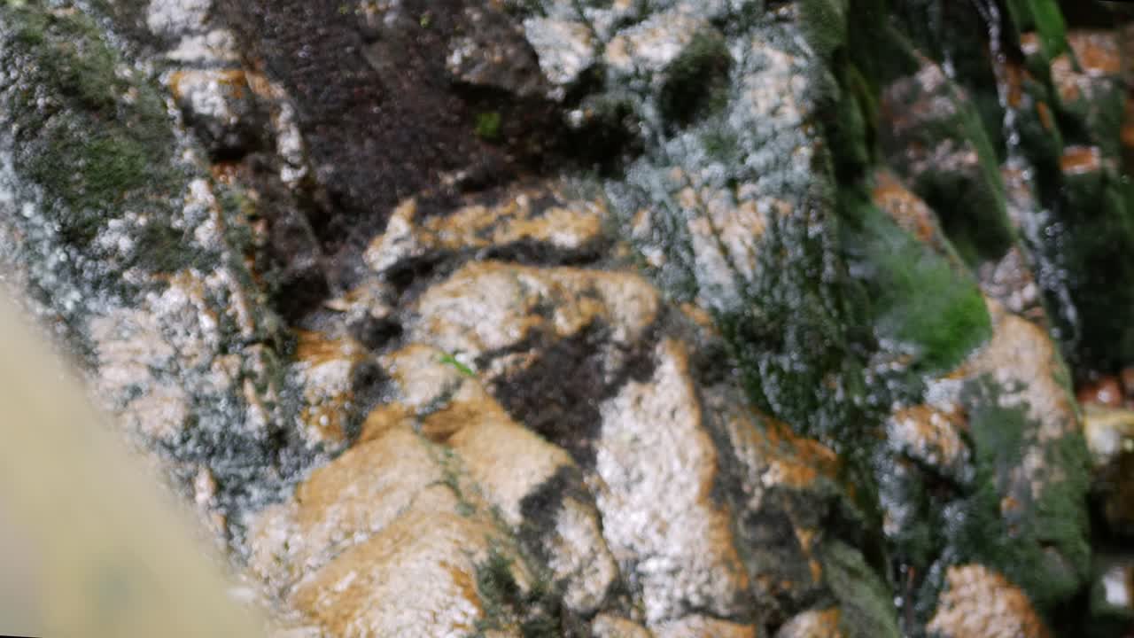 el suelo rocoso de un desfiladero muestra agua rápida a medida que pasa frente a la cámara