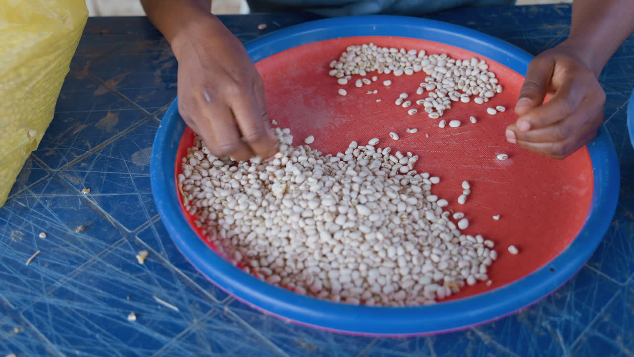 Black hands sorting white beans on red sieve, careful selection on blue table, slow rhythmic motion, home cook preparing pantry staples, tactile domestic atmosphere, closeup of manual food preparation