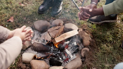 Campfire,-hands-or-people-outdoor-in-nature
