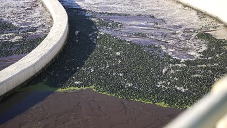 aeration process in wastewater processing plant with sludge on the surface