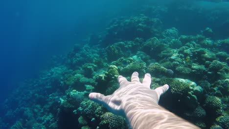 Hand-Diver-Underwater