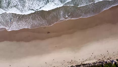 Pov-De-Ojo-De-Pájaro-Sobre-La-Playa-De-Arena-De-La-Granja