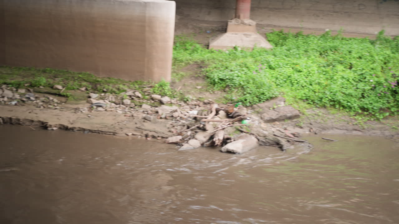Sottopassaggio piovoso, increspature di un fiume fangoso, acqua torbida che scorre lentamente sotto un ponte di cemento. Pietre bagnate e argine verde, sottili gocce di pioggia che creano increspature sulla superficie. Un filmato atmosferico per l'ambiente urbano.