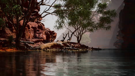 réflexion du grand canyon dans la rivière colorado