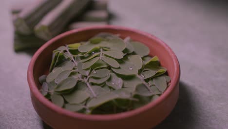 drumsticks leaves and drumsticks vegetable are very beneficial vegetables.