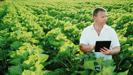 Der-Grauhaarige-Bauer-Arbeitet-Abends-Vor-Sonnenuntergang-Auf-Dem-Feld-Und-Benutzt-Ein-Tablet