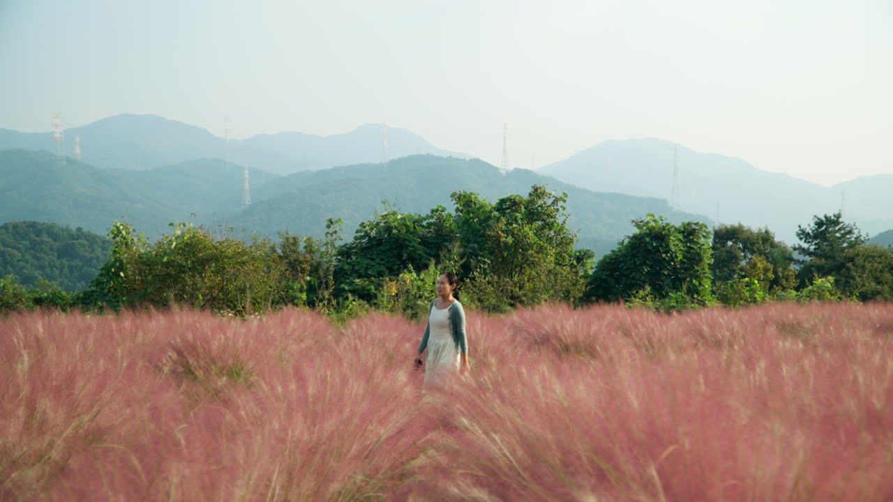 One Asian Woman Walks Through Pink Muhly Grassland Field with Scenic Mountain Peaks Landscape in Backdrop in Pocheon Herb Island Farm - Tracking Gimbal Side Dolly