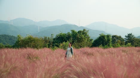 one asian woman walks through pink muhly grassland field with scenic mountain peaks landscape in backdrop in pocheon herb island farm - tracking gimbal side dolly