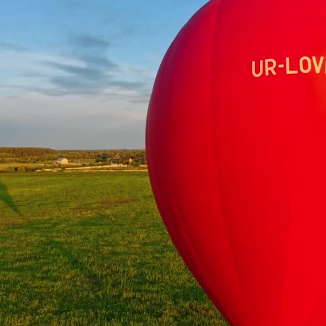 hot air balloon over field