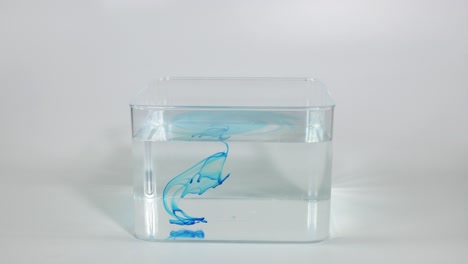 el lapso de tiempo de la dispersión del tinte azul en agua clara