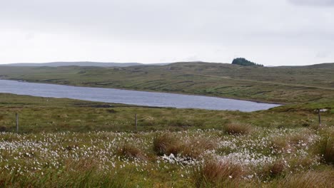 Aufnahme-Von-Moormooren-In-Der-Nähe-Eines-Sees-Auf-Der-Insel-Lewis,-Hebriden