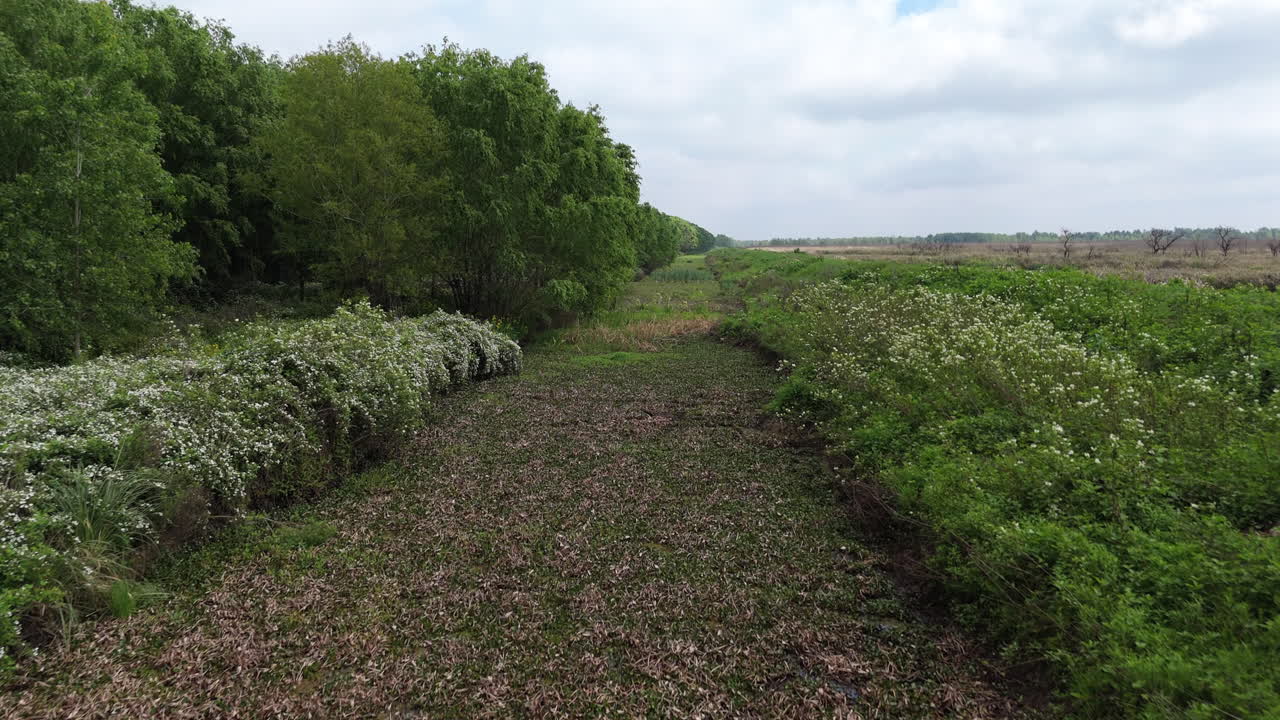 Expansive wetlands with green vegetation and water channels stretching across the landscape, low aerial dolly along path