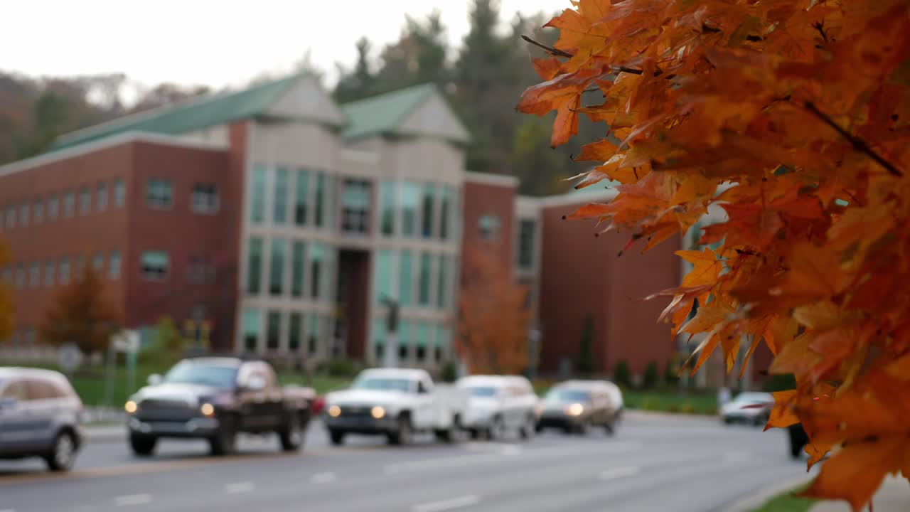 hojas de arce en otoño en el campus de la universidad estatal de los apalaches en boone nc