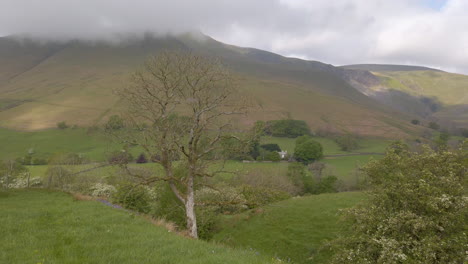 Escenas-De-Primavera-En-Los-Valles-De-Yorkshire-Con-Los-Páramos-Howgill-De-Fondo,-Toma-Panorámica-Lenta