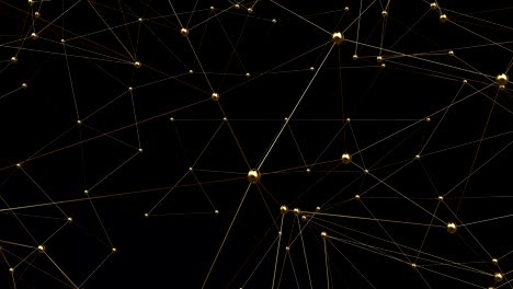 network in motion