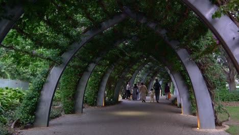 people walking through a lush green archway tunnel in a park