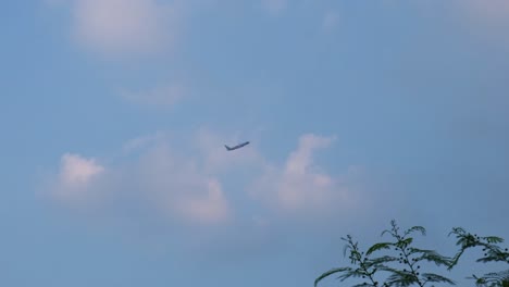 Climbing-up-and-gaining-altitude-just-after-takeoff-also-revealing-branches-with-leaves,-blue-sky,-some-fluffy-clouds,-Nok-Air,-Don-Mueang-International-Airport,-Bangkok,-Thailand