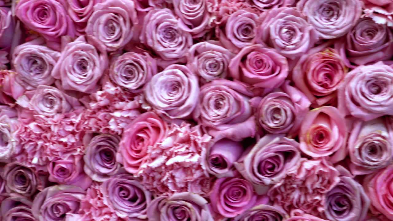 Primo piano naturale del fondo delle rose