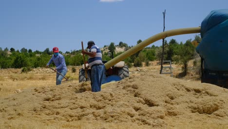 Adult-man-working-field