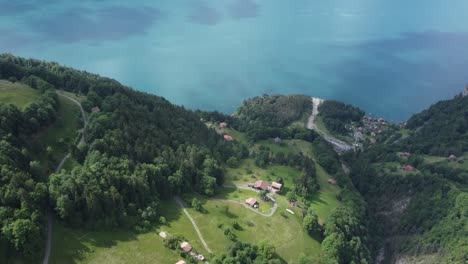 Aguas-Tranquilas-Del-Lago-De-Thun:-Impresionante-Vista-Aérea-En-4k-De-Los-Alpes-Suizos-Y-La-Flora-Alpina-En-Plena-Naturaleza