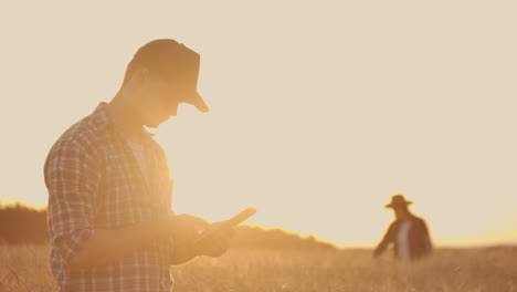 Dos-Agricultores,-Un-Hombre-Y-Una-Mujer,-Esperan-Con-Ansias-La-Puesta-De-Sol-Sobre-Un-Campo-De-Trigo.-Trabajo-En-Equipo-En-La-Agroindustria