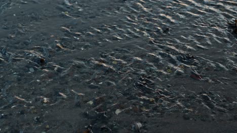 Clean-Flowing-Stream-In-Shallow-Riverbed.-Close-up-Shot