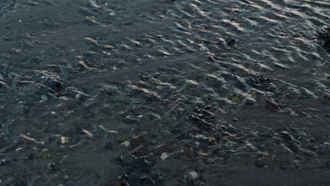 clean flowing stream in shallow riverbed. close-up shot