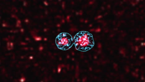microscopic cells