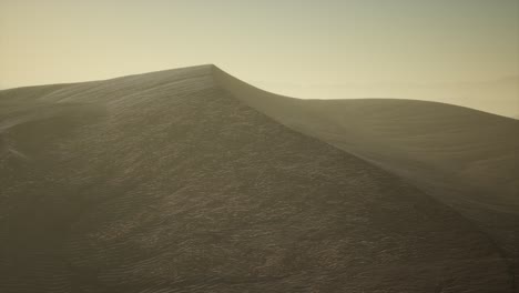 aerial view on big sand dunes in sahara desert at sunrise