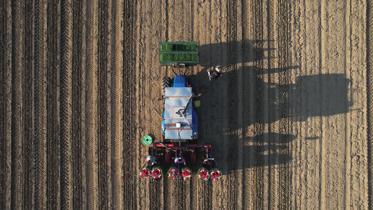Aerial footage of farmer and agricultural workers in tractor and semi automatic planter machine planting tomato plants on harrowed land during springtime