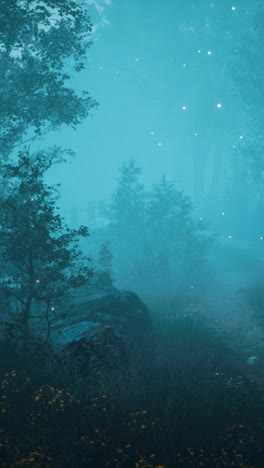 misty forest at night