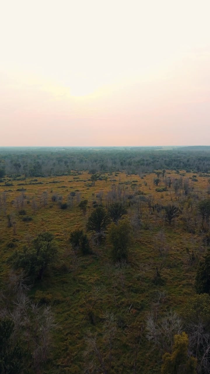 Gresskledd terreng omgitt av tett kratt og skogvegetasjon i et naturlig landskap nær Black Creek i Wisconsin, USA. Vertikalt luftfoto
