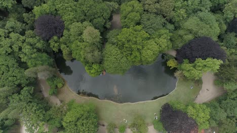 Grüner-Stadtpark-Am-Sonnigen-Sommermorgen