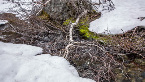 stream from the glacier