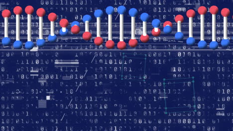 animation of dna strand spinning with data processing and binary coding