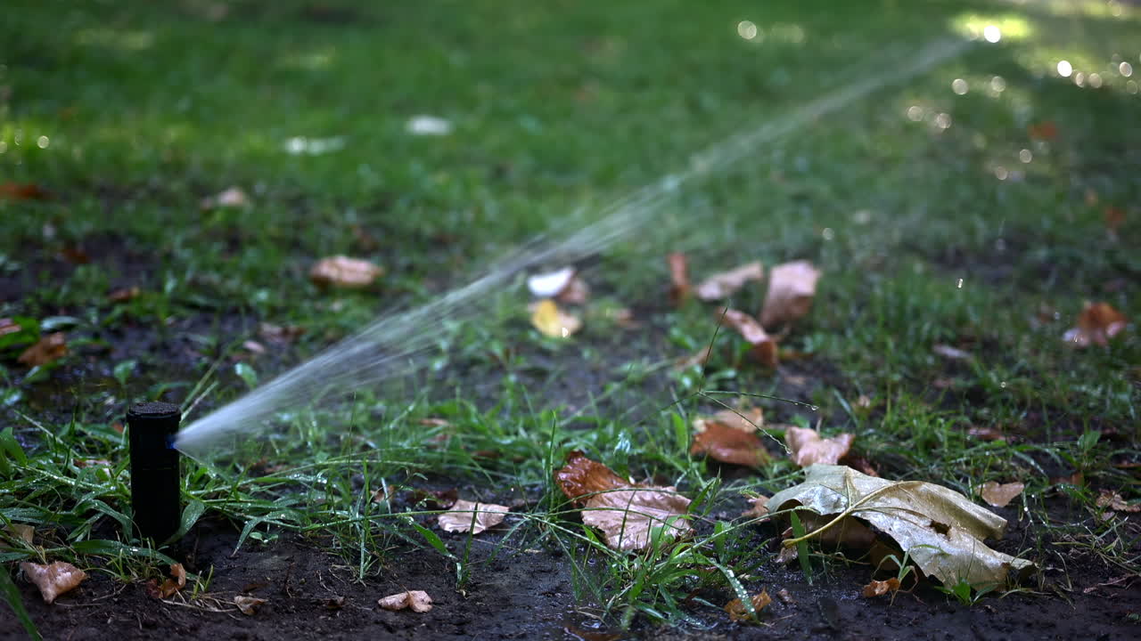 Irrigatore a spruzzo in azione, che spruzza acqua su erba e piante