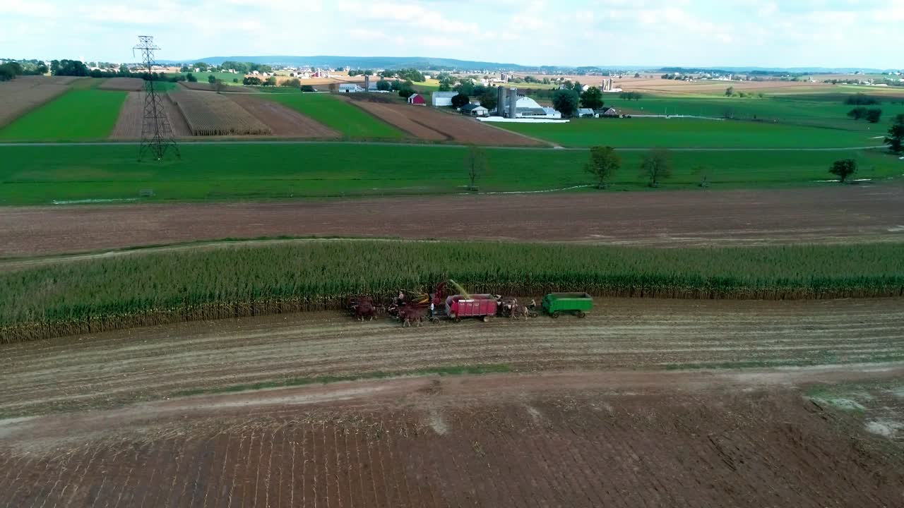 드론으로 본 가을 작물을 수확하는 아미쉬 농부들