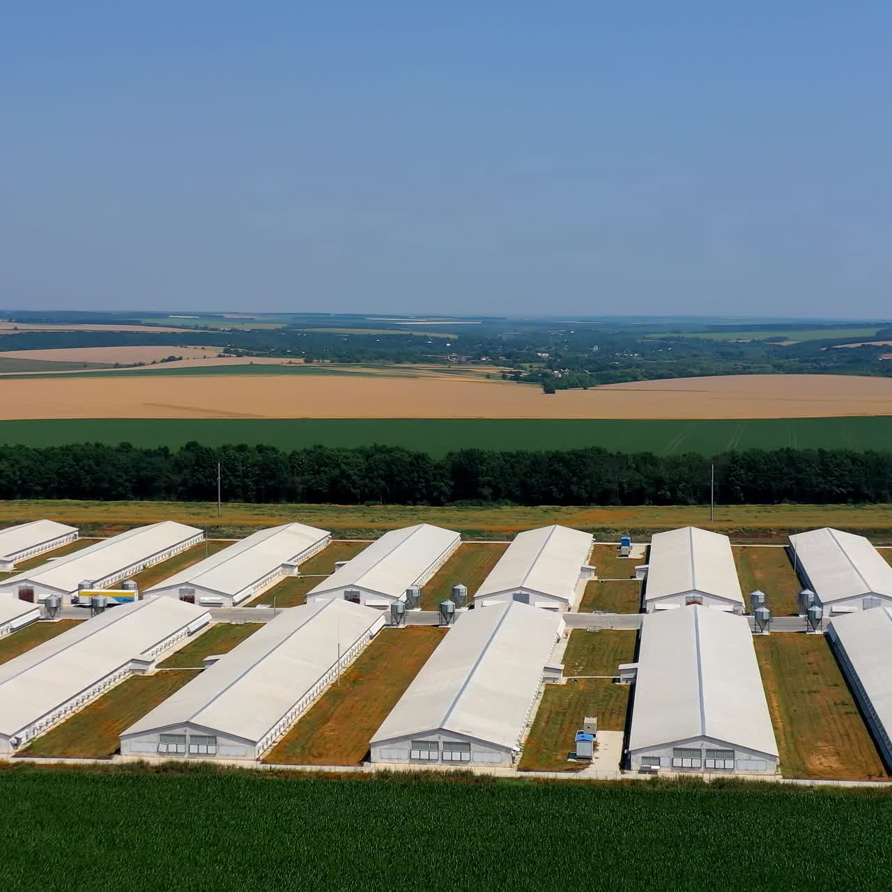 Farm on agricultural farmland. White barn houses in the countryside. Modern farm on nature landscape. Aerial view. Ecological problems