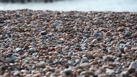 tilt up: beach in brighton, sussex, pebbles on the ground and a burnt infrastructure on the water