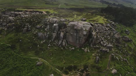 Dron-Disparado-Por-La-Vaca-Y-El-Ternero-En-Ilkley-Moor,-Yorkshire