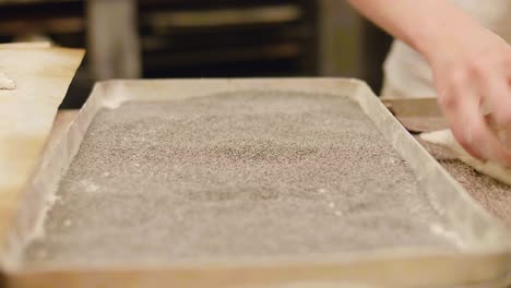 bakery dough rolled in poppy seeds