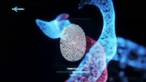 a visual journey through interactive digital biometrics and fluid dynamics: exploring fingerprint recognition and colorful flowing motions in a futuristic setting