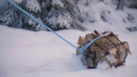 wood on sledges on a winter trail carried by a tourist on a snow