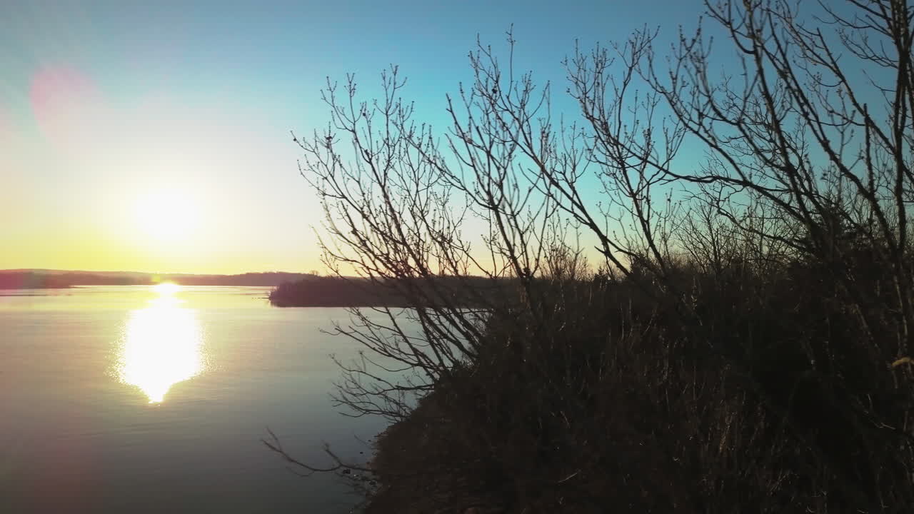 나무 뒤에서 일출