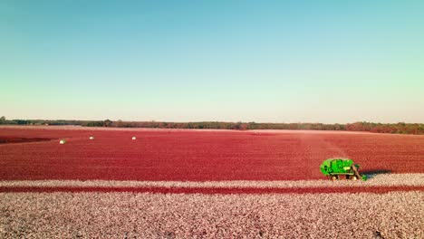 aerial of cotton harvest in progress under a clear sky