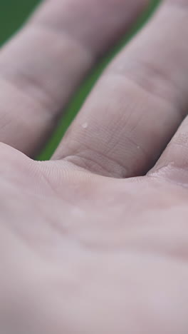 primer plano de una mano