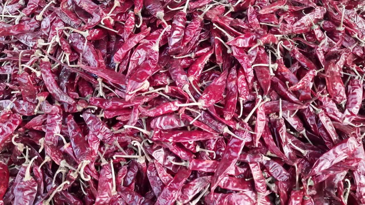 Spice Market in India hot Chili Peppers fresh. rasgulla Mirchi, chapata Mirchi and guarani Mirchi