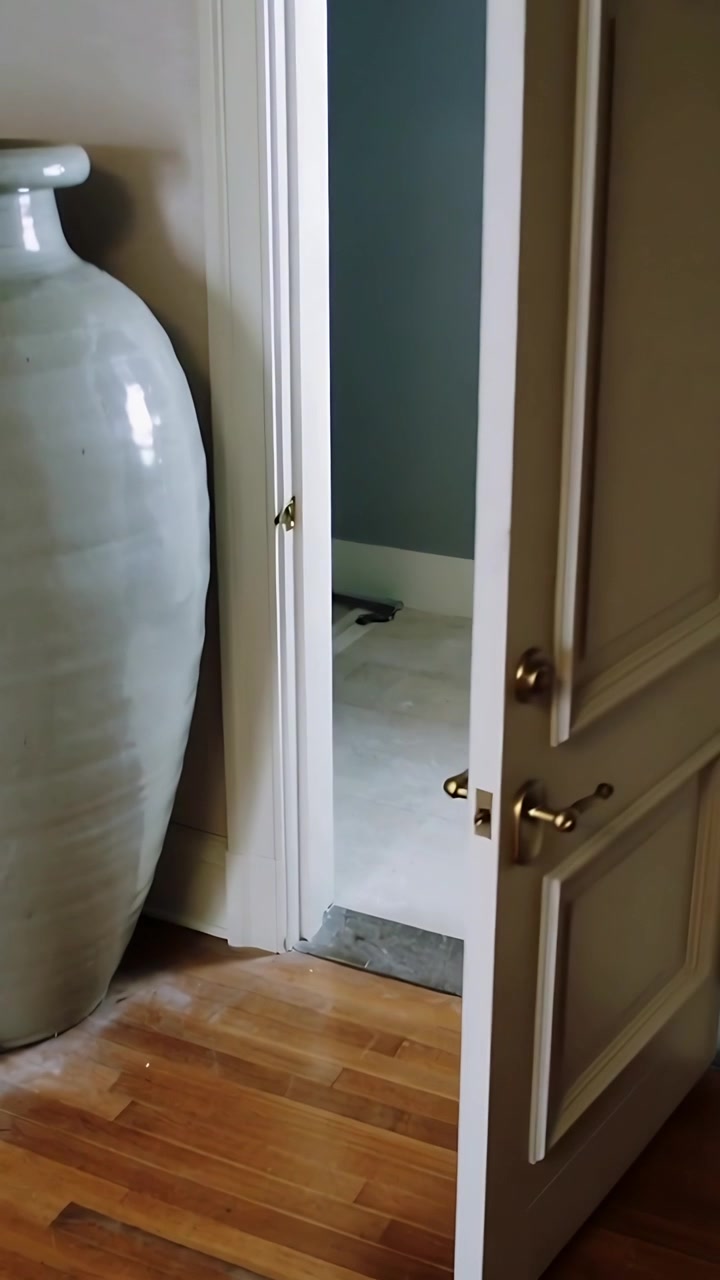 Vertical video: Opening white door inward in hallway, handle turning and revealing green vase